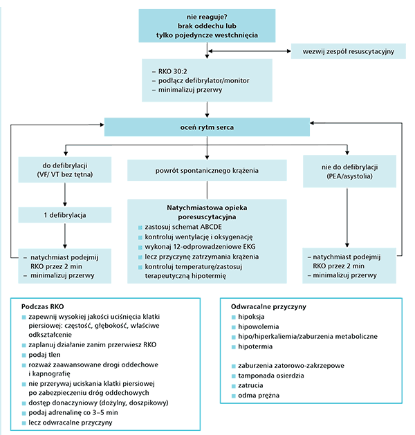Algorytm Postępowania W Zatrzymaniu Krążenia U Dorosłych Artykuły Dorośli Resuscytacja 1611
