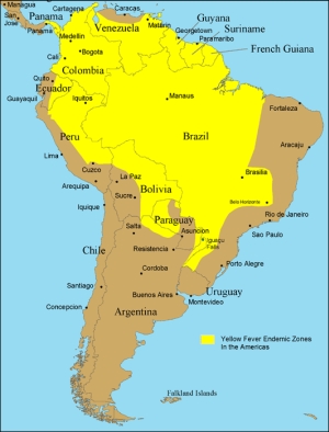 Żółta gorączka, Ameryka Południowa