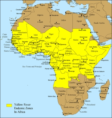 Żółta gorączka, Afryka