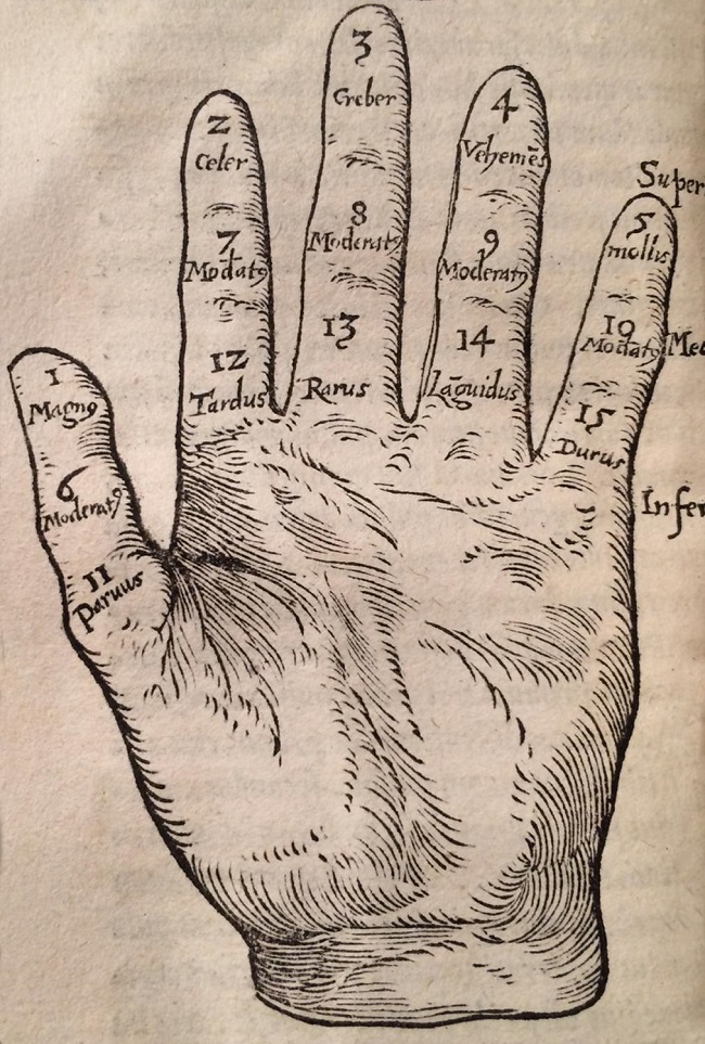 Struthius, hand, diagram, pulse, Struś