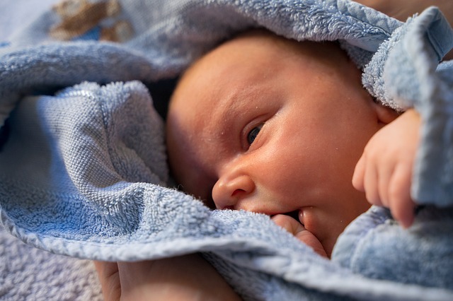 noworodek spada liczba urodzeń dzieci