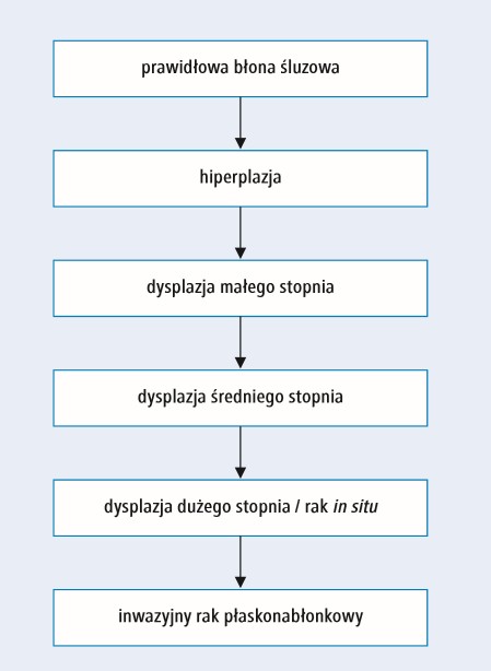Model powstawania nowotworu złośliwego w&nbsp;raku płaskonabłonkowym jamy ustnej