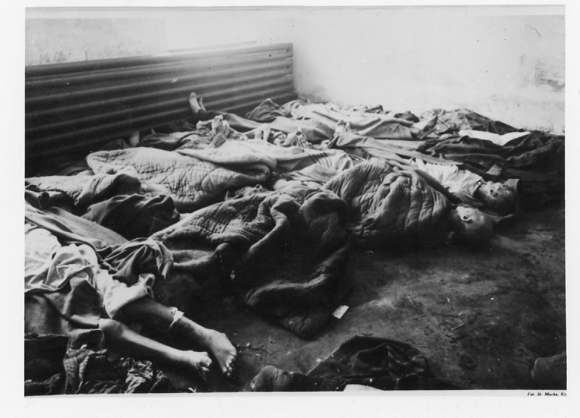 Historical Pictures Medical Review Auschwitz