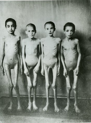 https://adst.mp.pl/img/articles/auschwitz/translations/english/child-victims-of-pseudo-medical-experiments.jpg
