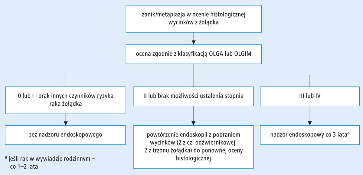 helicobacter-pylori-rozpoznawanie-i-leczenie-zaka-enia-wytyczne