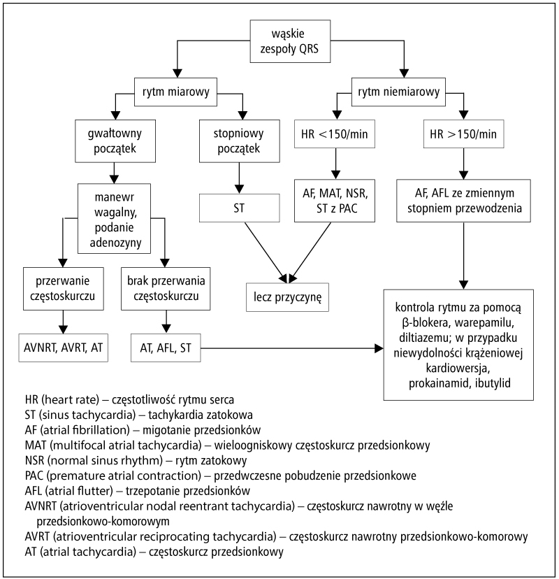 Diagnostyka Różnicowa I Leczenie Tachykardii Z Wąskimi Zespołami Qrs Krok Po Kroku 2090
