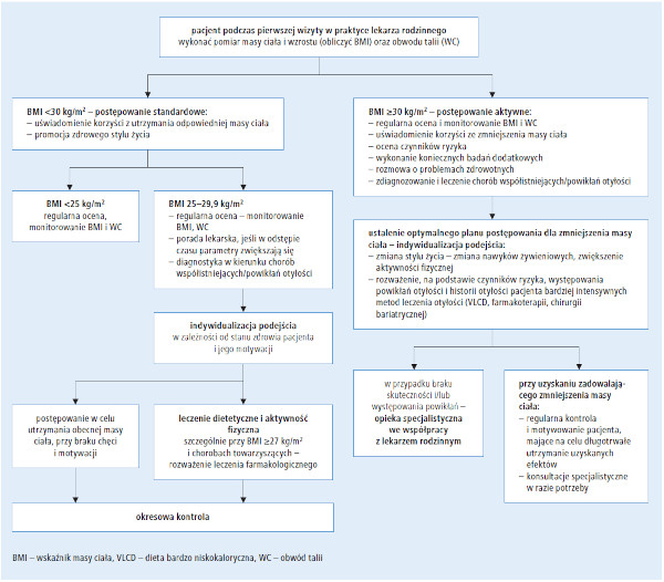 Zapobieganie Nadwadze I Otyłości Oraz Ich Leczenie U Dorosłych W Praktyce Lekarza Rodzinnego 4339