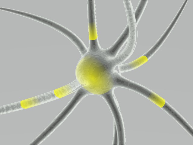 neuron przekaźnik
