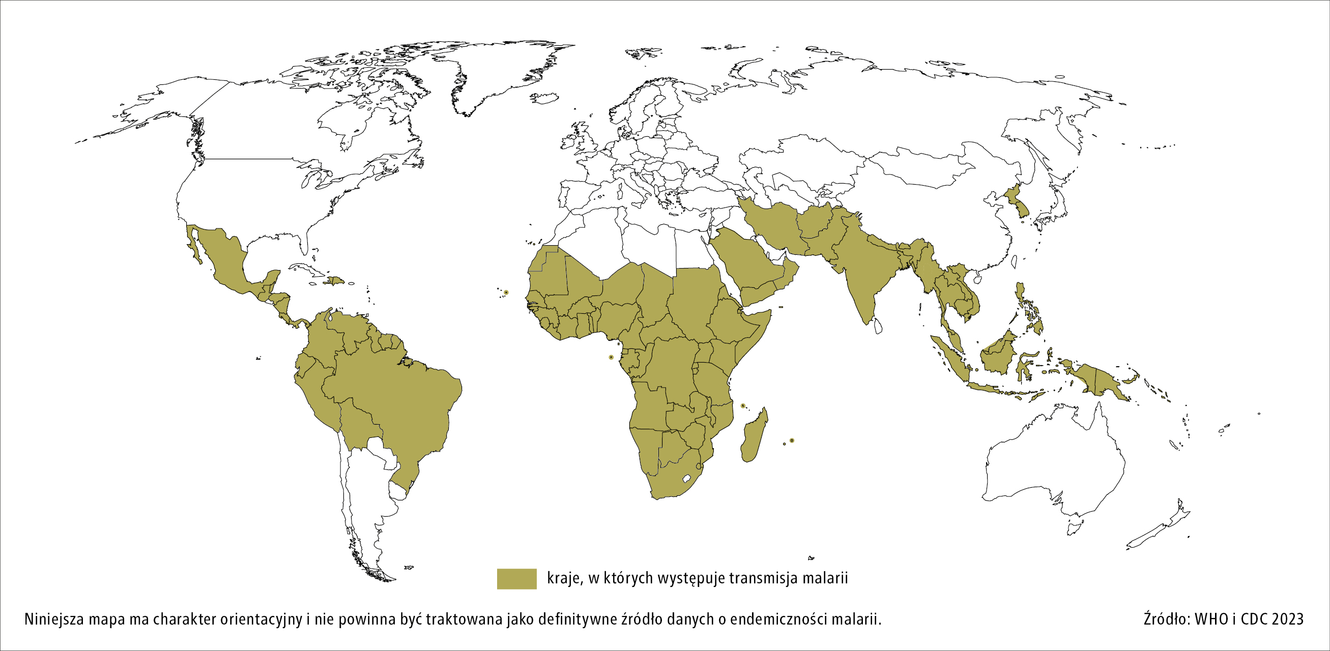 interna-ma-y-podr-cznik-medycyna-praktyczna-malaria