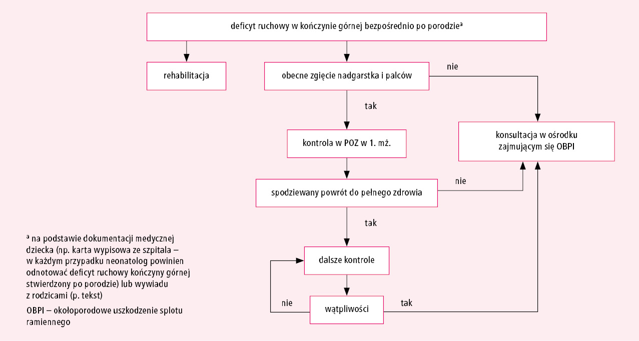  Ryc. Algorytm postępowania u dziecka z okołoporodowym uszkodzeniem splotu ramiennego (OBPI) 