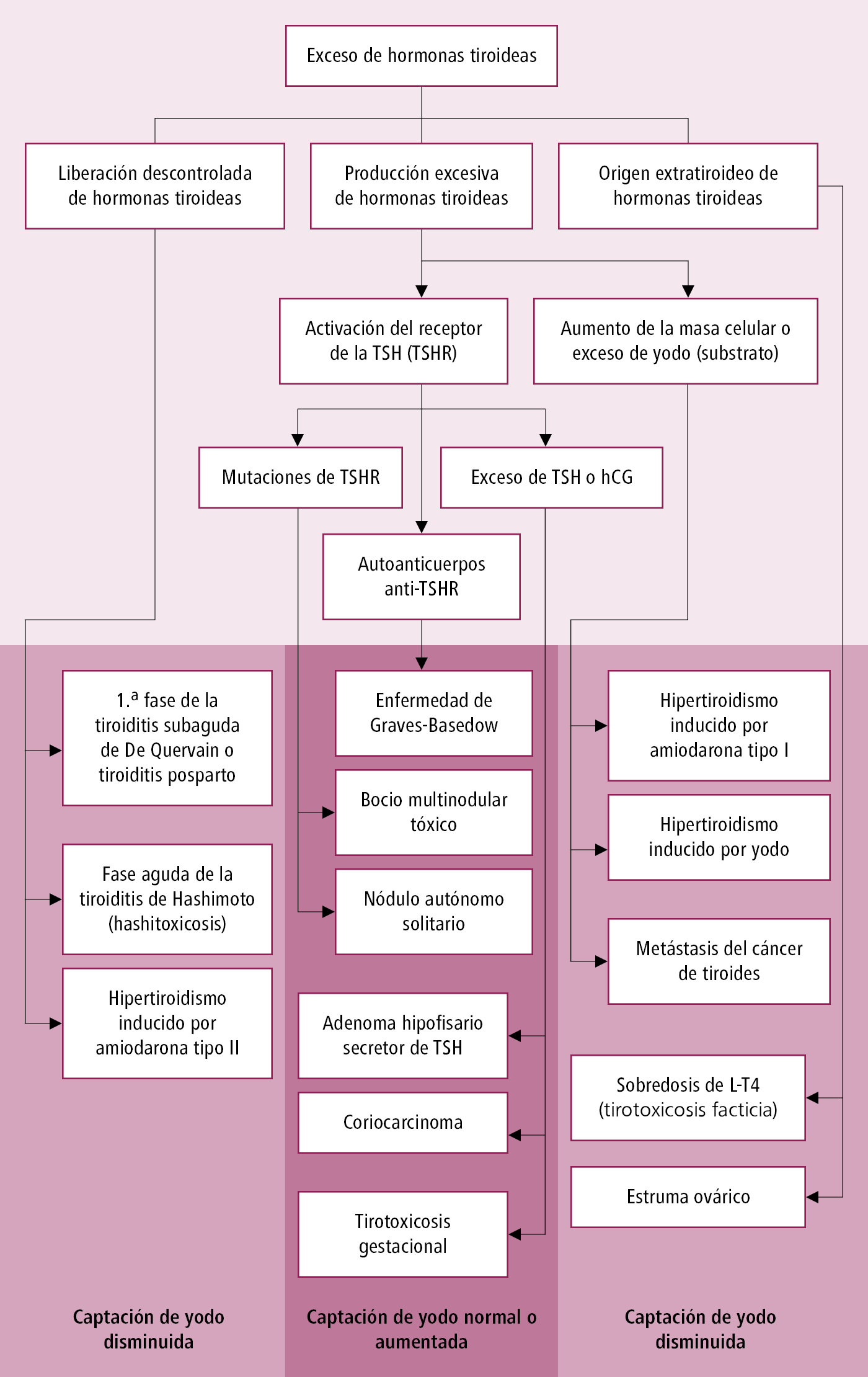    Fig. 9.2-1.  Causas de hipertiroidismo 