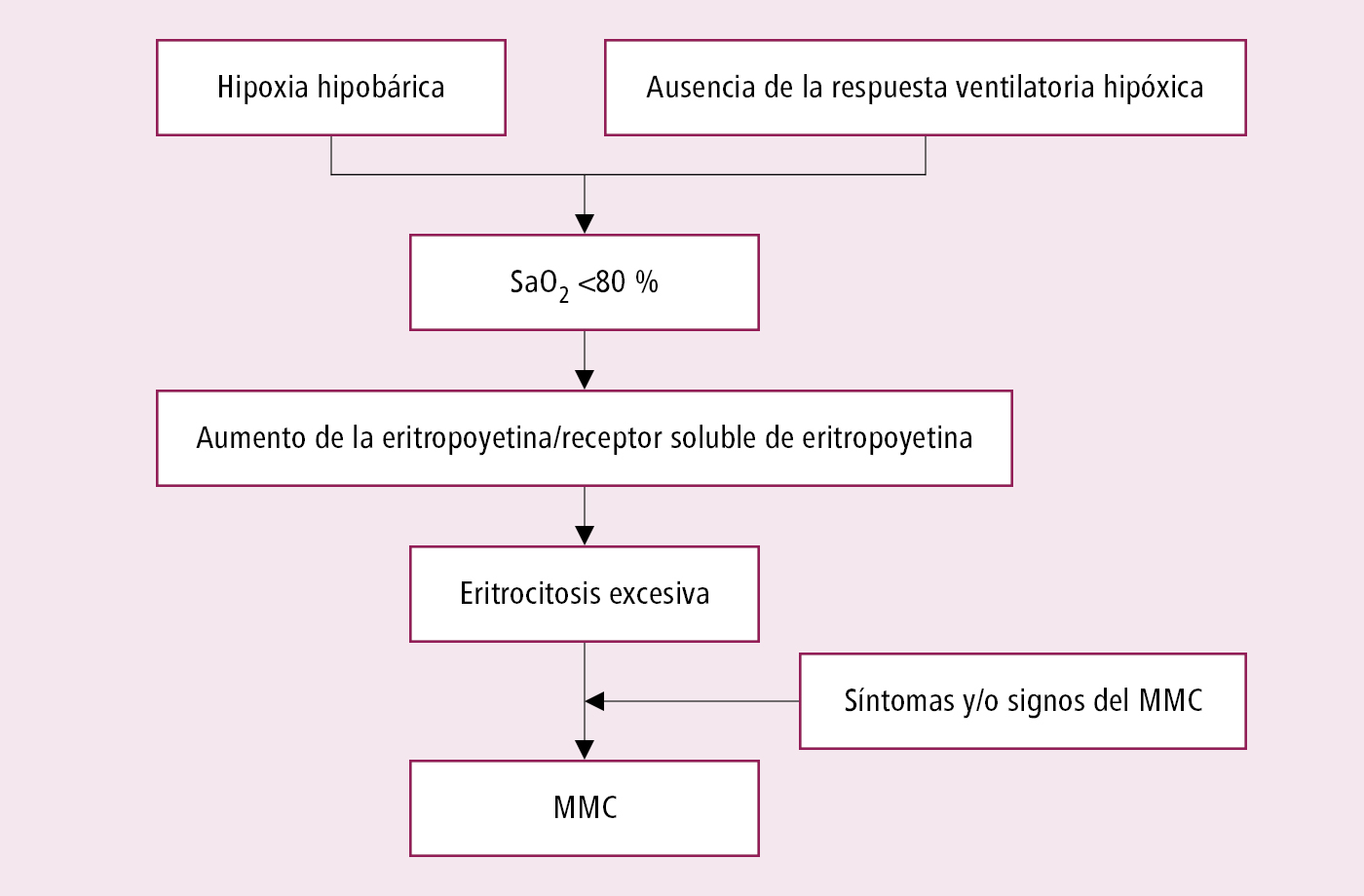  
Fig. 22.1-1.  Mecanismo del MMC (mal de montana cronico) 