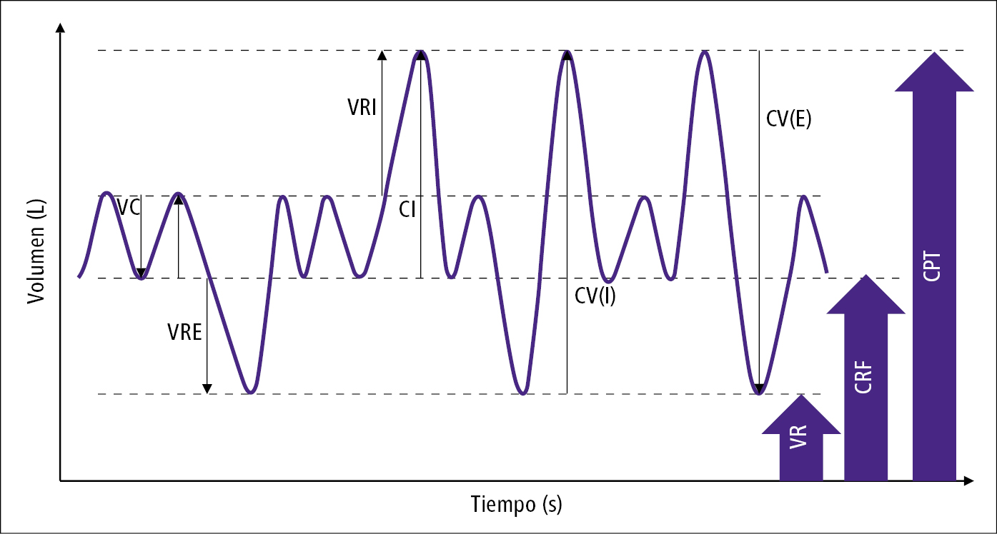    Fig. 27.4-1.  Parámetros de volumen pulmonar en la curva espirométrica (inspiración hacia arriba, espiración hacia abajo) 