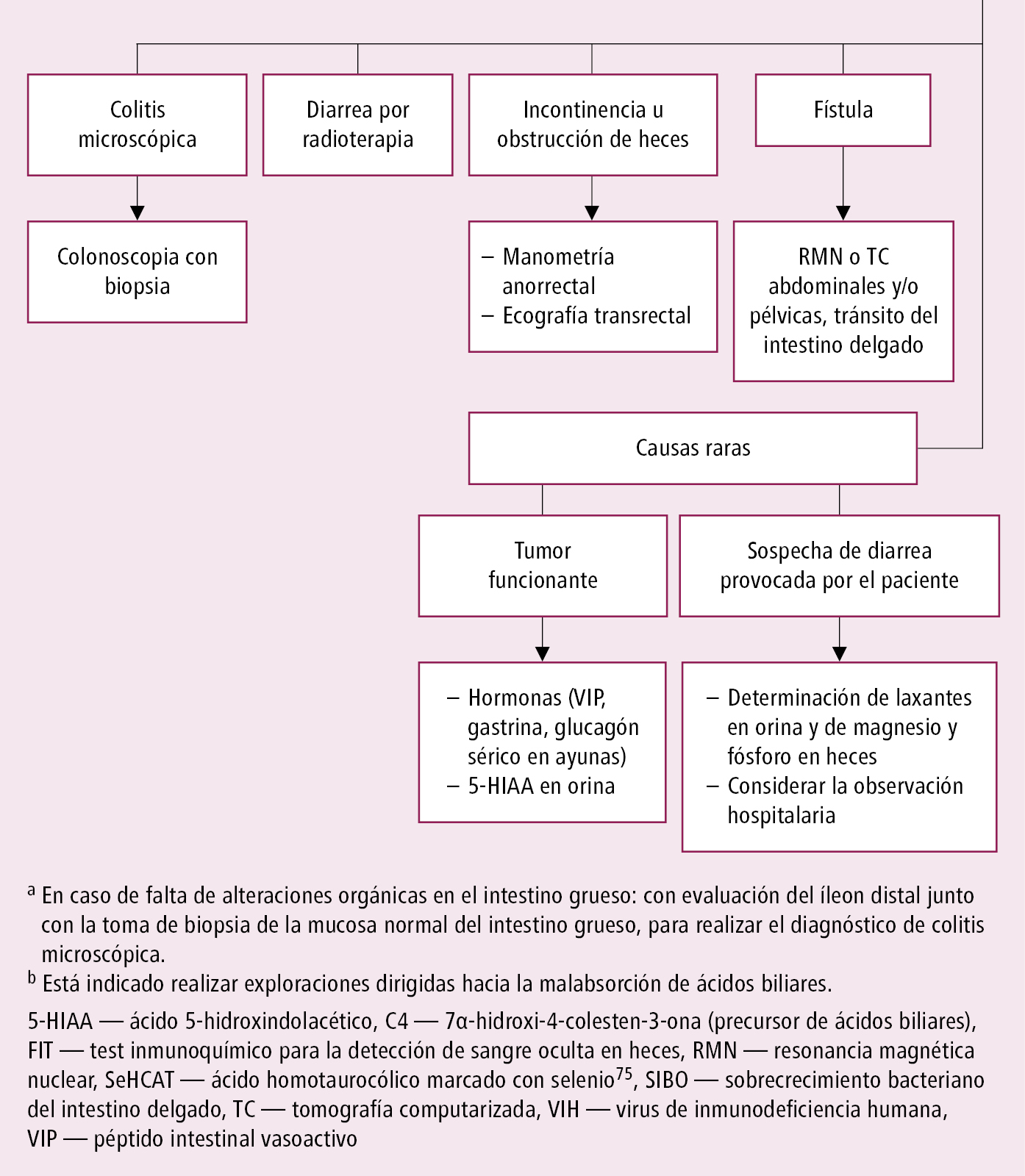    Fig. 1.30-1.  Algoritmo diagnóstico de la otalgia en adolescentes y adultos 