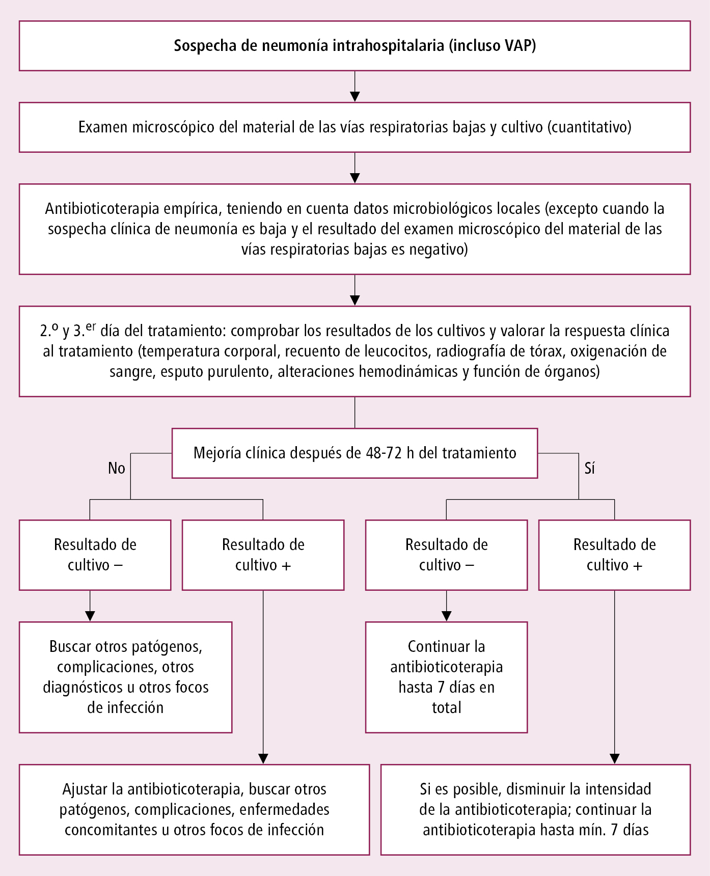    Fig. 3.13-1.  Esquema de estrategia de actuación ante la sospecha de neumonía intrahospitalaria 