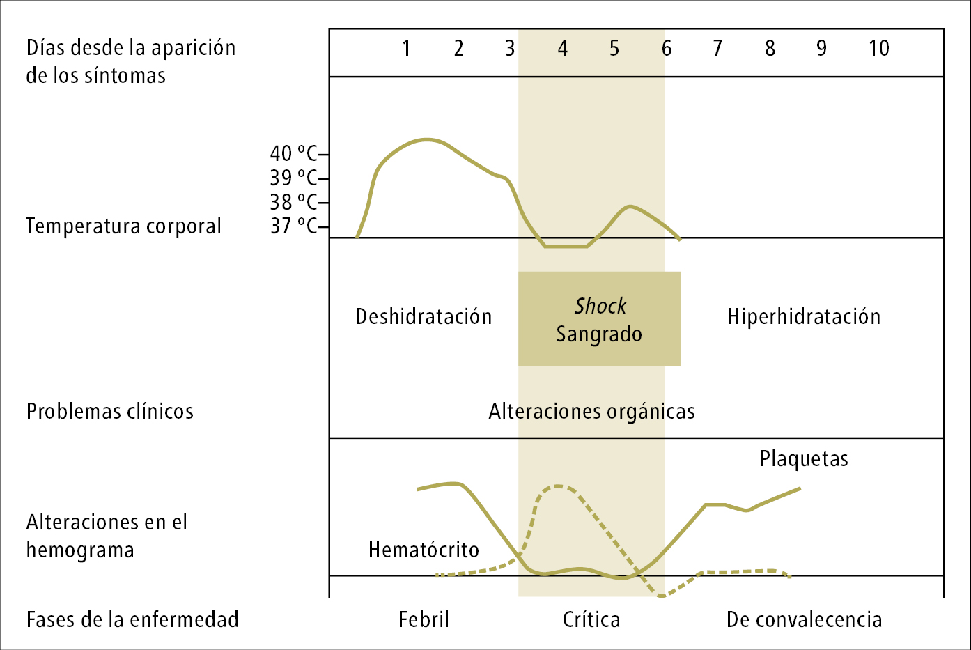    Fig. 19.1-1.  Fases de la enfermedad, síntomas y signos y alteraciones en el hemograma durante el desarrollo de dengue según la OMS (2009) 