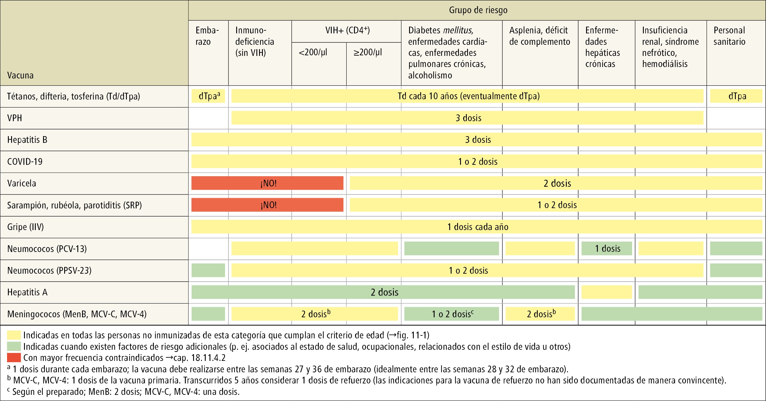    Fig. 19.11-2.  Esquema del programa de vacunación para adultos, según el grupo de riesgo (información detallada →texto) 