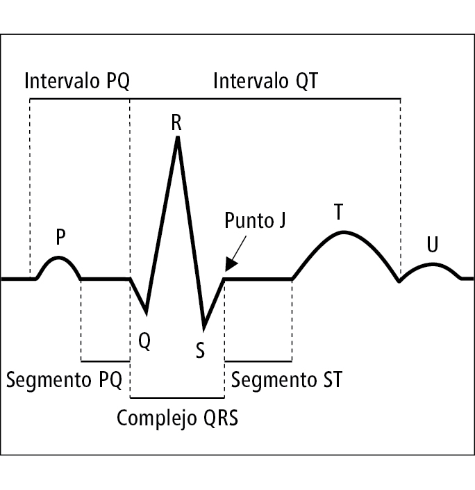  Ondas, segmentos e intervalos del ECG 