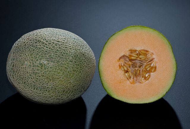 Melon kantalupa w&nbsp;całości i&nbsp;przekrojony na pół